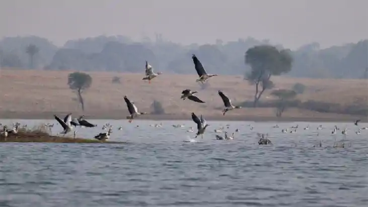 3 महीने में खाली करें आद्रभूमि, वरना नपेंगे अधिकारी! पटना हा