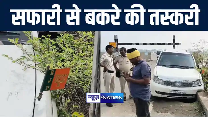 बीजेपी का झंडा लगे सफारी गाड़ी से बकरों की तस्करी का हुआ खुला बीजेपी का झंडा लगे सफारी गाड़ी से बकरों की तस्करी का हुआ खुला