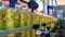 Edible oil