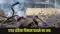 Ahmadabad Plane Crash