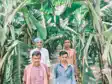 Antisocial elements ruined banana crop 