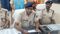 बेतिया पुलिस की बड़ी कार्रवाई : 24 घंटे के भीतर अपहृत नाबालिग लड़की को किया बरामद, आरोपी  गिरफ्तार