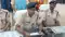 बेतिया पुलिस की बड़ी कार्रवाई : 24 घंटे के भीतर अपहृत नाबालिग लड़की को किया बरामद, आरोपी  गिरफ्तार