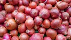 Onion Price Hike