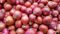 Onion Price Hike