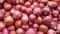 Onion Price Hike