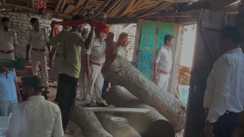 Nawada crime news