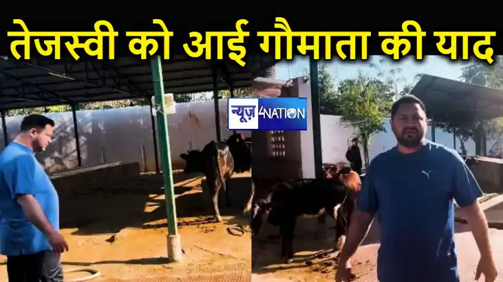 तेजस्वी यादव को आयी गौमाता की याद, सुबह-सुबह गोशाला पहुंचे, 
