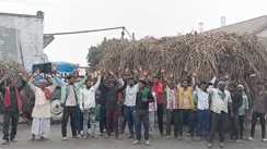 Bihar News : लौरिया एचपीसीएल चीनी मिल का गेट बंद होते ही भड़के गन्ना किसान, सड़क जाम कर काटा बवाल