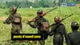 Jharkhand News: झारखंड में नक्सलियों ने किया सुरक्षा बलों पर हमला, आईडी बलास्ट में एक जवान घायल, बेहतर इलाज के लिए भेजा गया रिम्स