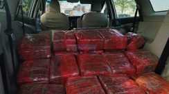 Motihari Police Bust 80 Lakh Ganja Haul Smuggler Arrested In Car