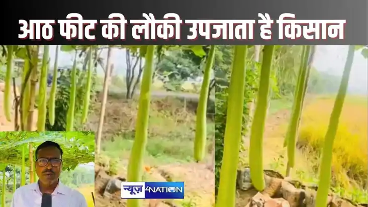 बिहार के किसान ने आठ फीट की लौकी का नाम रखा 'नरेंद्र शिवानी' बिहार के किसान ने आठ फीट की लौकी का नाम रखा 'नरेंद्र शिवानी'