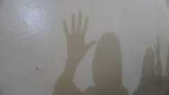 Muzaffarpur Woman Abducted Assault