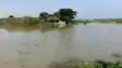 Bihar Flood News : नेपाल से छोड़े गए पानी ने दरभंगा में मचाया कहर, दर्जनों गाँव बाढ़ की चपेट में आये, मुख्यालय से संपर्क हुआ भंग