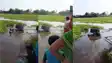 BIhar Road Accident : बेतिया में अनियंत्रित होकर नदी में गिरी बोलेरो, लोगों से खिड़की से निकलकर बचाई जान 
