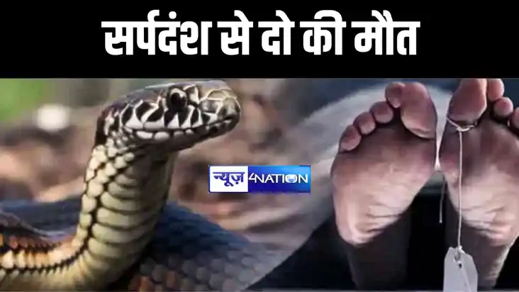 औरंगाबाद में सर्प दंश से एक महिला समेत दो की हुई मौत, परिजनो