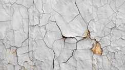 Wall Paint Peeling