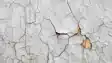 Wall Paint Peeling