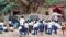 Bihar School