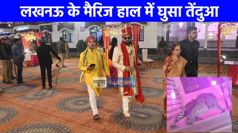 UP NEWS: लखनऊ के मैरिज हॉल में घुसा तेंदुआ, मची चीख-पुकार, व