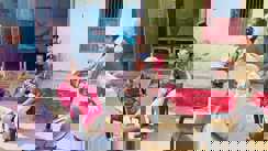 पुलिस का मानवीय चेहरा: अब घर-घर पहुंच बुजुर्गों का हाल जानेगी पुलिस, 'डायल 112' बनेगा दादा-दादी का सहारा