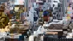 नशे के सौदागरों पर भारी पड़ी फतुहा पुलिस, वैशाली से फुलवारीशरीफ जा रही गांजे की खेप जब्त, दो गिरफ्तार