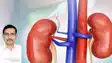  kidney 