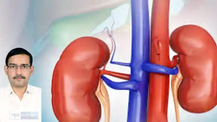 kidney kidney
