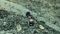Bihar Plans 44 New Mines Targets 2300 Crore Revenue