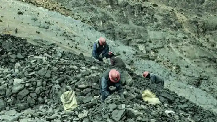 Bihar Plans 44 New Mines Targets 2300 Crore Revenue