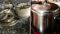 Pressure cooker blast in Motihari