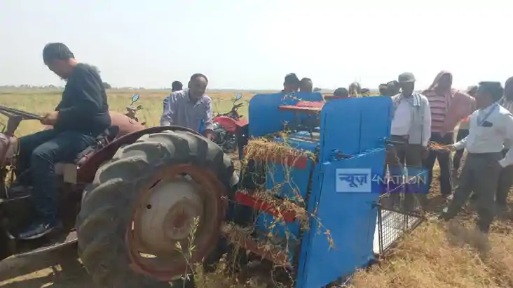 Lentil harvesting machine Lentil harvesting machine