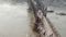 Bihar Bridges collapsed
