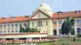 Patna Highcourt News : आम उत्पादकों की बदहाली पर पटना हाईकोर्ट सख्त, राज्य सरकार से मांगा जिलेवार ब्यौरा