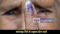 Bihar Assembly elections 2025