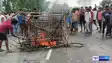 Bihar News: कटिहार में करंट का कहर,28 मवेशियों की दर्दनाक मौत, एनएच-31 जाम, बिजली विभाग पर फूटा ग़ुस्सा