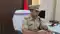 Motihari Police Get 100 Drug Traffickers Convicted in 2 Years