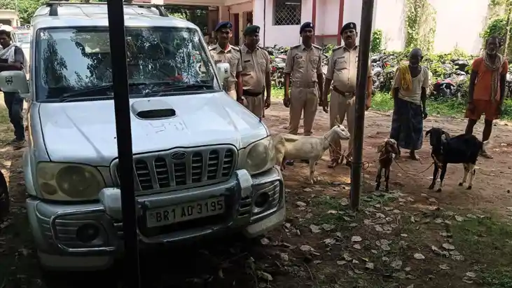 Bihar News : स्कॉर्पियो से बकरी चुराकर भाग रहे चोरों का पुलि