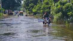 Bihar Flood