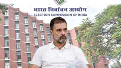 Political news - ‘वोट चोरी’ जैसे शब्दों से हमारी इमानदारी पर हमला, चुनाव आयोग ने राहुल गांधी को दिलाई 73 साल पुराने  कानून की याद