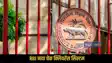 RBI News Rule