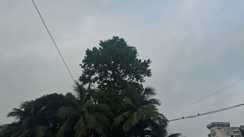 Bihar weather Rain Alert 18 Districts on Yellow Alert Storms Lightning