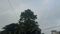 Bihar weather Rain Alert 18 Districts on Yellow Alert Storms Lightning