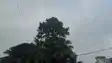 Bihar weather Rain Alert 18 Districts on Yellow Alert Storms Lightning