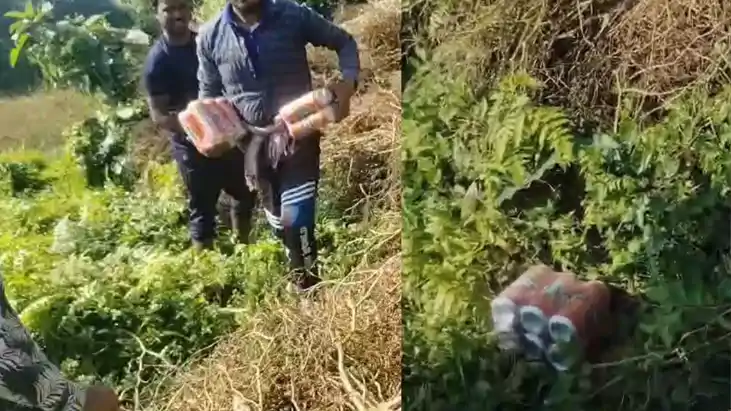 Beer loot in dry Bihar 