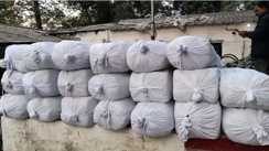 Bihar Crime : सुपौल पुलिस की बड़ी कार्रवाई, मक्के के खेत से 620 किलो गांजा किया बरामद, तस्करों की तलाश में जुटी पुलिस 