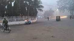 Bihar Weather Cold Wave Dense Fog Alert in 15 Districts Chill to Intensify After Jan 16 