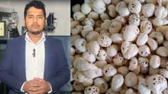 Bihar News : बिहार का 'सफेद सोना' बना रहा ग्लोबल पहचान, युवा उद्यमी गुलफराज ने खड़ा किया 'मोदी मखाना' ब्रांड