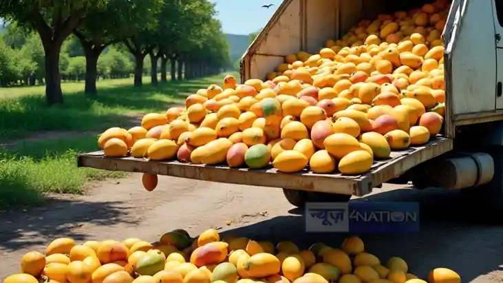 mangoes loaded truck overturns mangoes loaded truck overturns