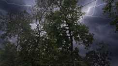 Bihar weather